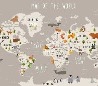Illustrated world map Animals Mole