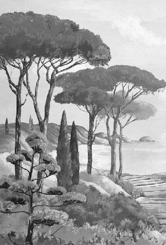 Papier peint balade dans les calanques noir et blanc, XXL, tendance