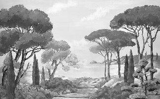 Wallpaper stroll in the calanques black and white