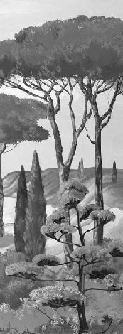 Papier peint balade dans les calanques noir et blanc, XXL, tendance