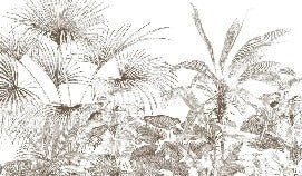 Monochrome engraving tropical wallpaper