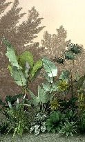 Jungle trend indonesia toilet wallpaper