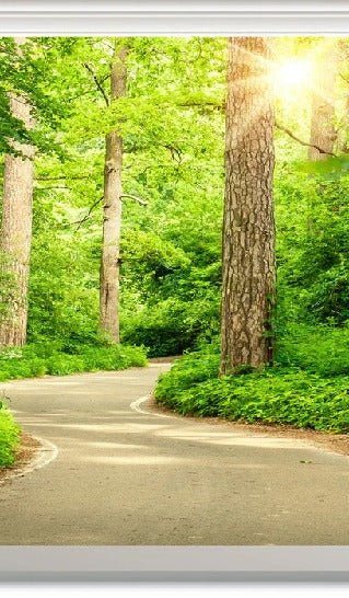 Wallpaper wc stroll in the forest