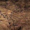Wood & Map wallpaper