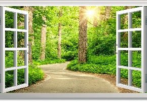 Trompe l'oeil forest walk wallpaper