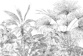 Tropical monochrome engraving wallpaper