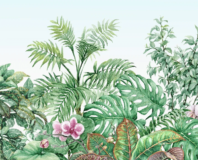 Vegetal wallpaper