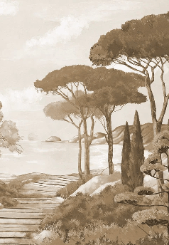 Monochrome wallpaper featuring a stroll through the calanques