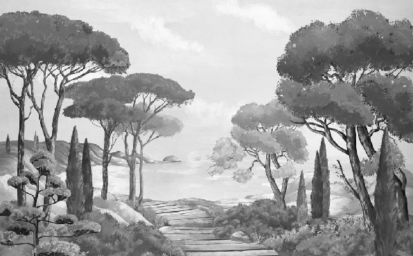 Black and white wallpaper featuring a stroll through the calanques