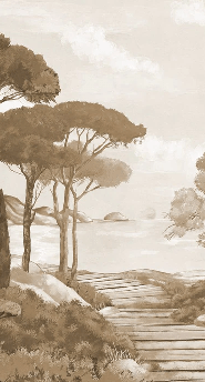 Monochrome wallpaper featuring a stroll through the calanques