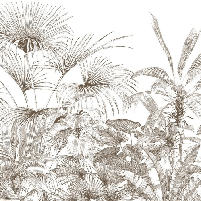 Tropical monochrome engraving wallpaper