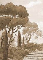 Monochrome wallpaper featuring a stroll through the calanques