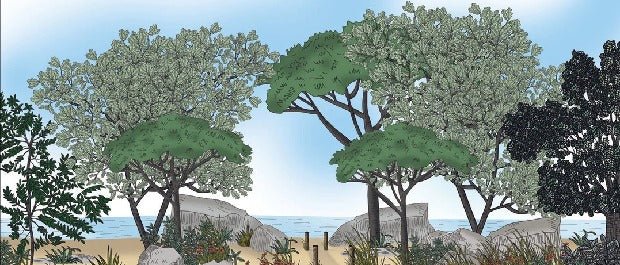 Papier peint paysage France bord de mer, XXL, tendance