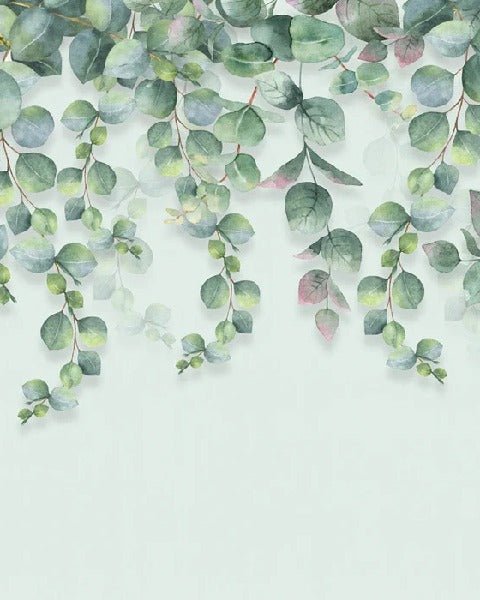 Papier peint nature plante Eucalyptus