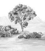 Papier peint paysage poétique noir et blanc