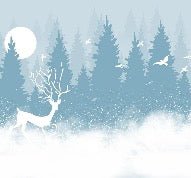 Papier peint panoramique Cerf forest in the mist, XXL, tendance