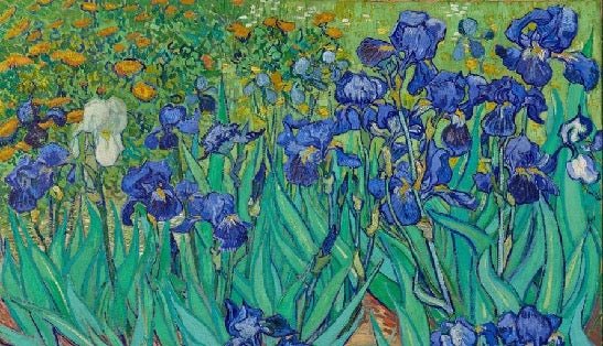 Papier peint fleur Iris
