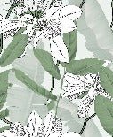 Papier peint salle de bain feuillage nature vert fleur NB