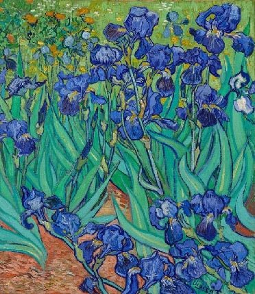 Papier peint fleur Iris