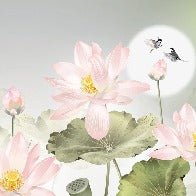 Papier peint orchidée floral romantique