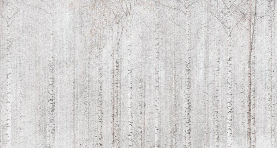 Papier peint forêt de bouleaux enveloppante