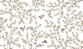 Papier peint oiseau chambre enfant