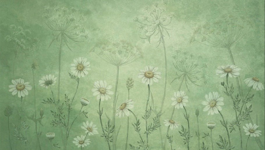 Papier peint marguerites sauvages