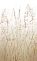 Wheat field flower wallpaper