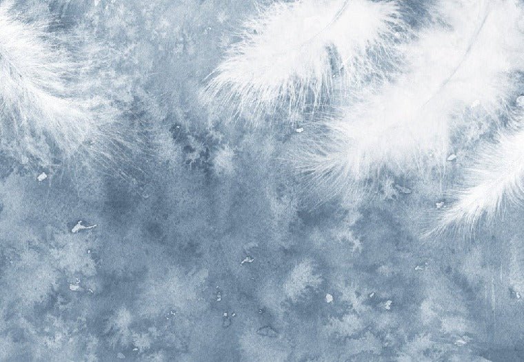 Papier peint Plume Blanche
