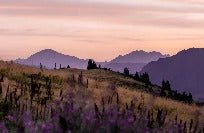 Papier peint restaurant massif du Giffre, XXL, tendance