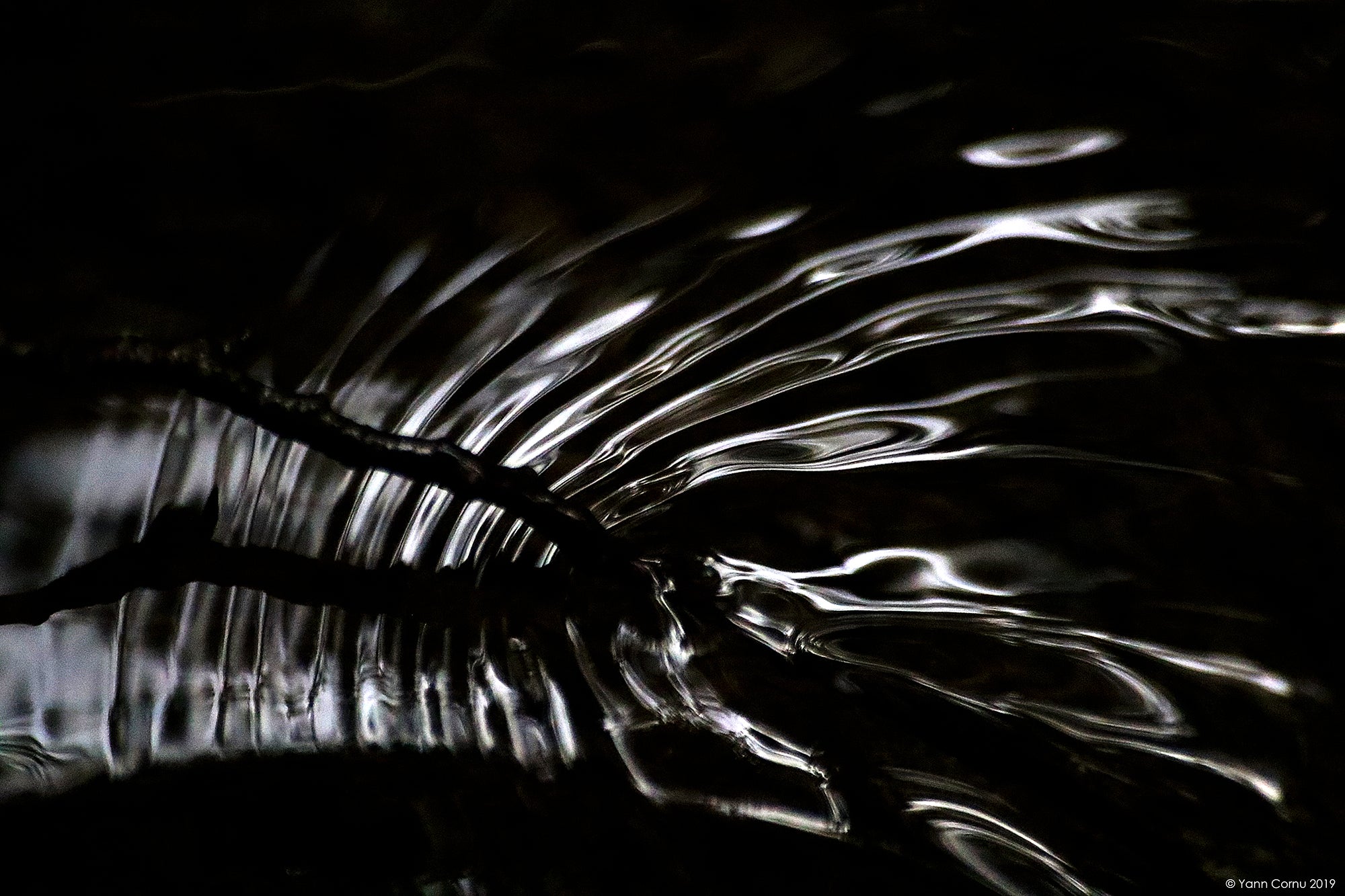 Wallpaper in the heart of the water