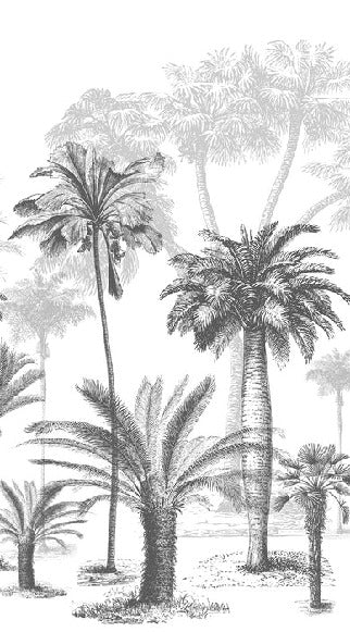 Papier peint Jungle Black & White