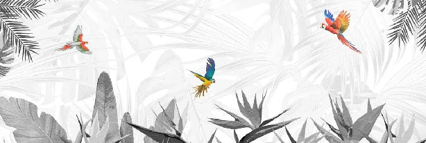 Papier peint noir et blanc oiseau du paradis