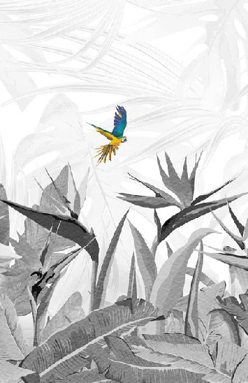 Papier peint noir et blanc oiseau du paradis