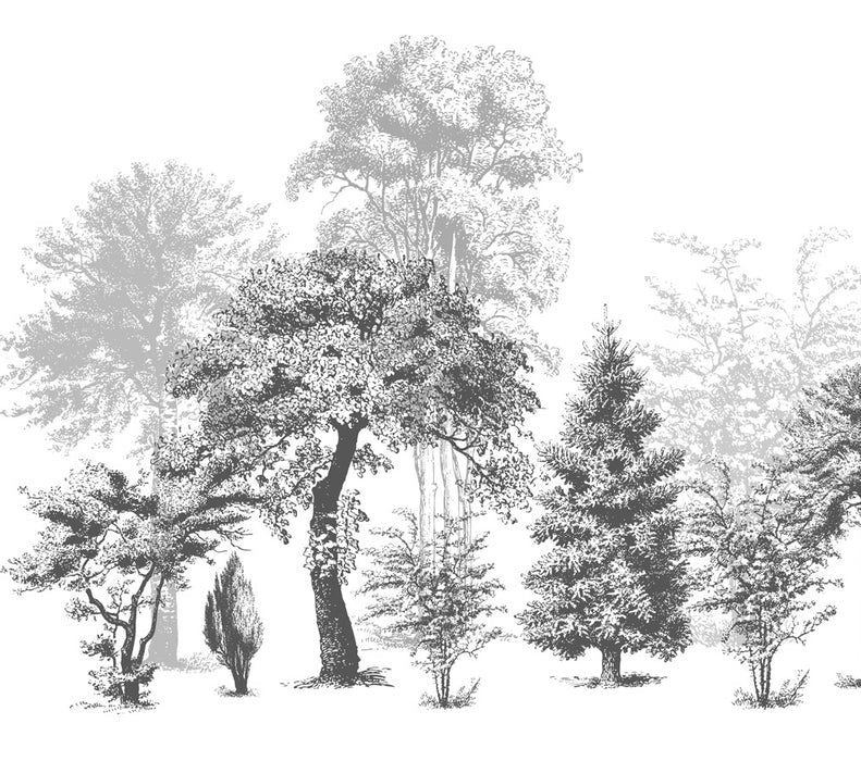 Papier peint salle de bain nature en noir et blanc, XXL, tendance