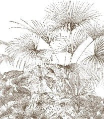 Papier peint tropical gravure monochrome, XXL, tendance