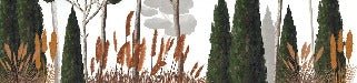 Custom wallpaper cypress pine and pampas grass