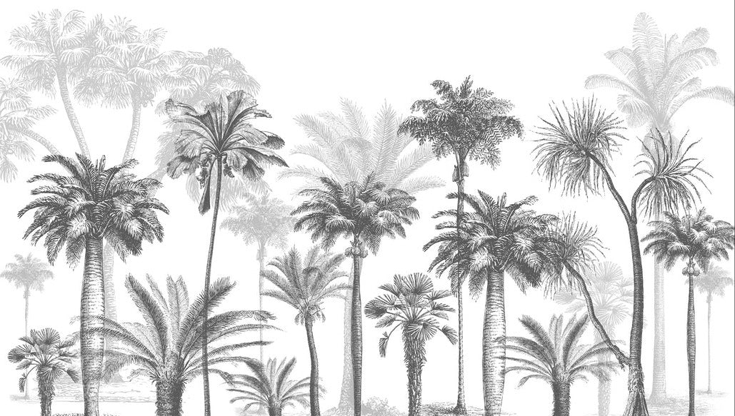 Papier peint Jungle Black & White