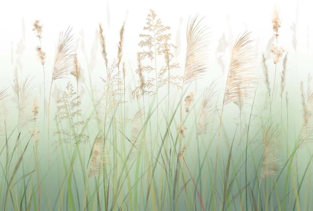 Papier peint fleur des champs de blé vert, XXL, tendance