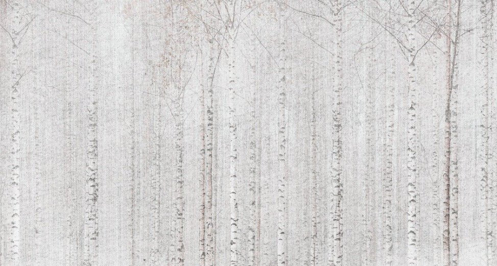 Papier peint forêt de bouleaux enveloppante