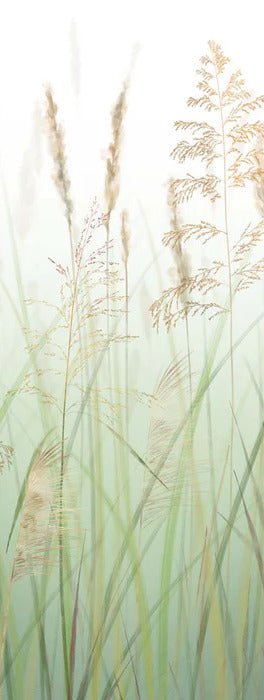 Papier peint fleur des champs de blé vert
