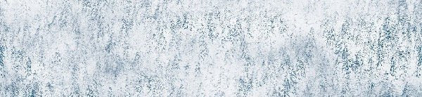 Alpine design misty forest wallpaper