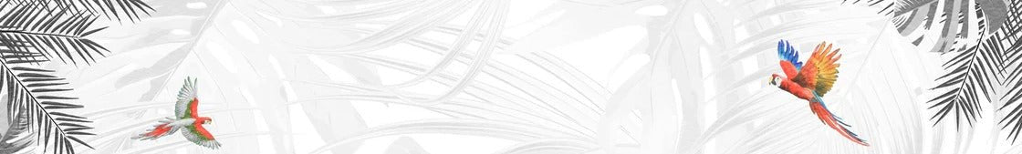 Black and white bird of paradise wallpaper