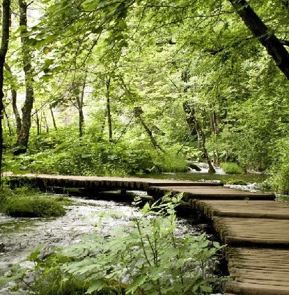 Papier peint bistrot trompe l'œil chemin forestier, XXL, tendance