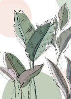 Papier peint panoramique végétal graphique vert, XXL, tendance