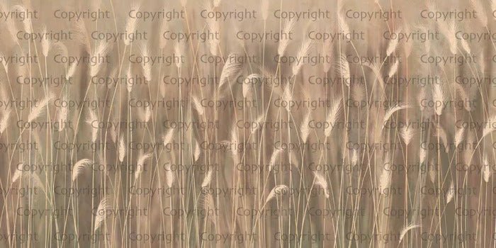 Papier peint panoramique herbes sauvages beige