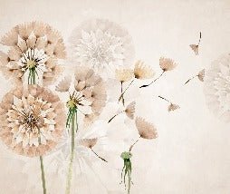 Dandelion flower wallpaper