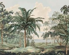 Papier peint paysage Célèbes