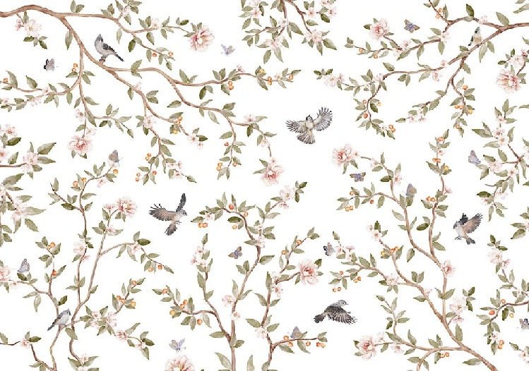 Papier peint oiseau chambre enfant