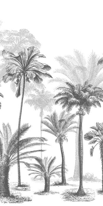 Papier peint Jungle Black & White